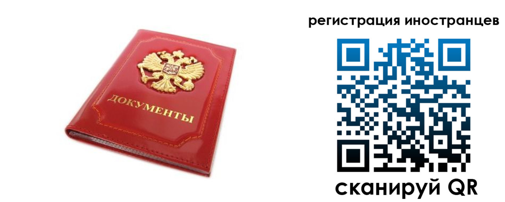 временная прописка в Михайловке